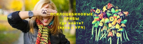 прущий лед Туринск
