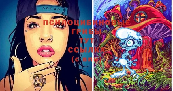 таблы Тында